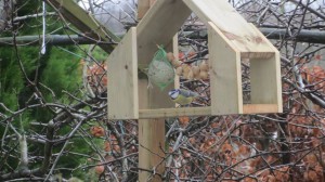 vogelhuisje